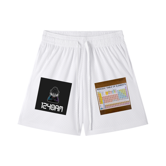 Mesh Drawstring Shorts