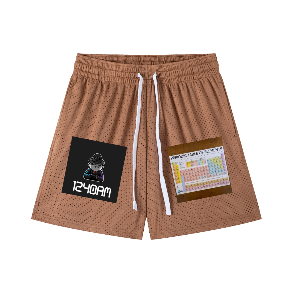 Mesh Drawstring Shorts